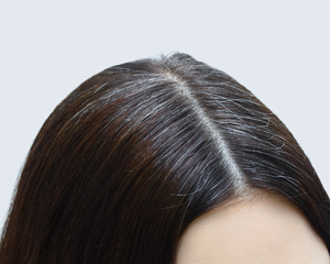 close-up of shiny brown hair with a visible part showing natural highlights and gray strands